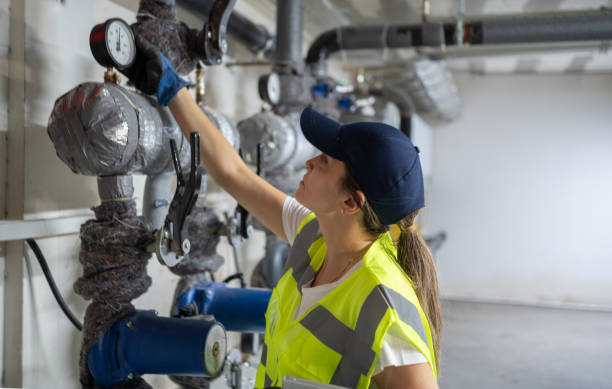 Best Affordable Plumbing Services  in Mancelona, MI